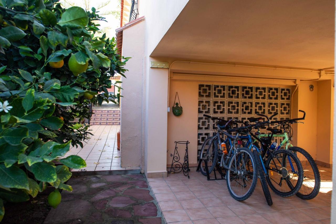 レリアナ Florit Flats - The Orange Lemon Tree Houseヴィラ エクステリア 写真