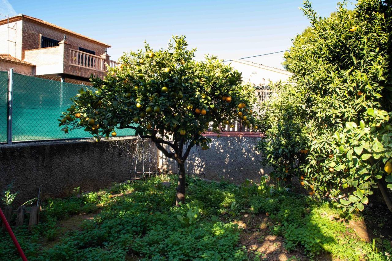 レリアナ Florit Flats - The Orange Lemon Tree Houseヴィラ エクステリア 写真